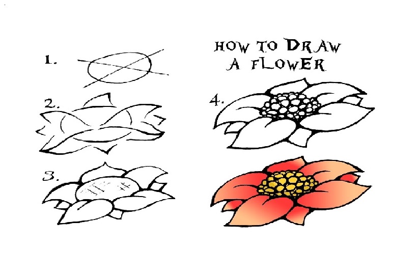 how to draw a rose without stem | knowhowadda